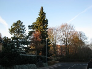 Lygtepæl
